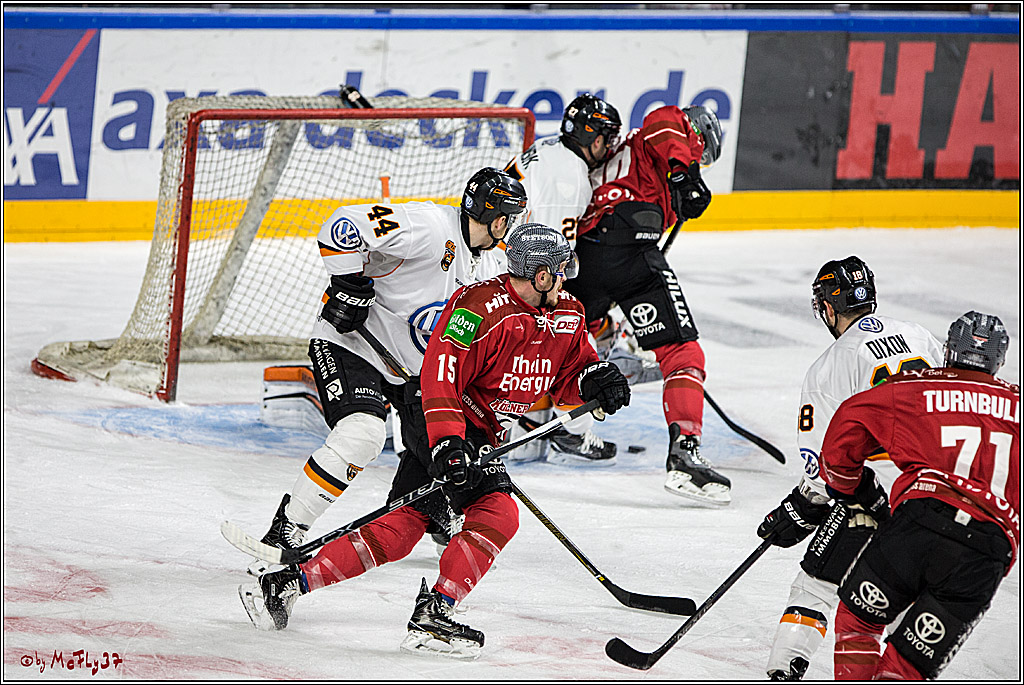 DEL, Koelner Haie - Grizzlys Wolfsburg, 17.03.2017